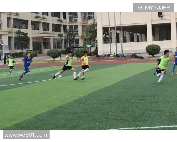 杨强专访：从绿茵场到人生舞台的足球旅程回顾与展望